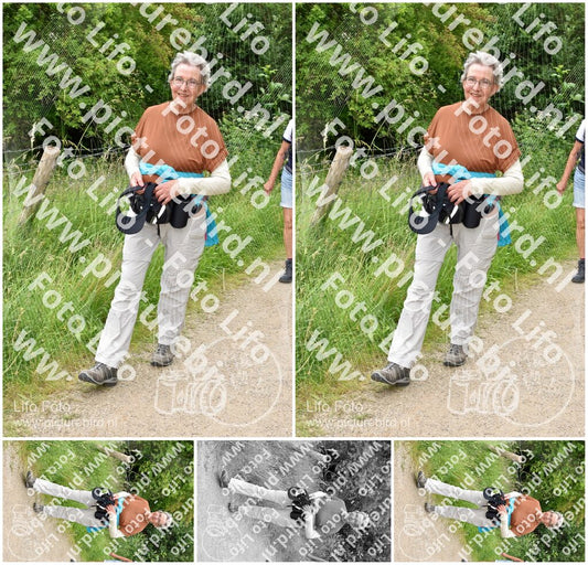 Evenement foto: Serie 269