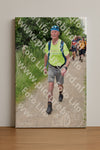 Evenement foto: Serie 269