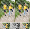 Evenement foto: Serie 269