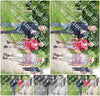 Evenement foto: Serie 269