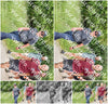 Evenement foto: Serie 317