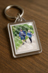 Evenement foto: Serie 317