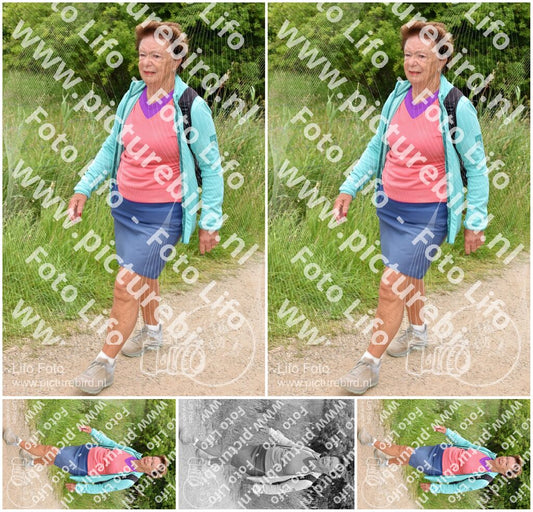 Evenement foto: Serie 317