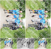 Evenement foto: Serie 317