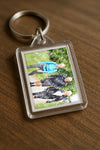 Evenement foto: Serie 317