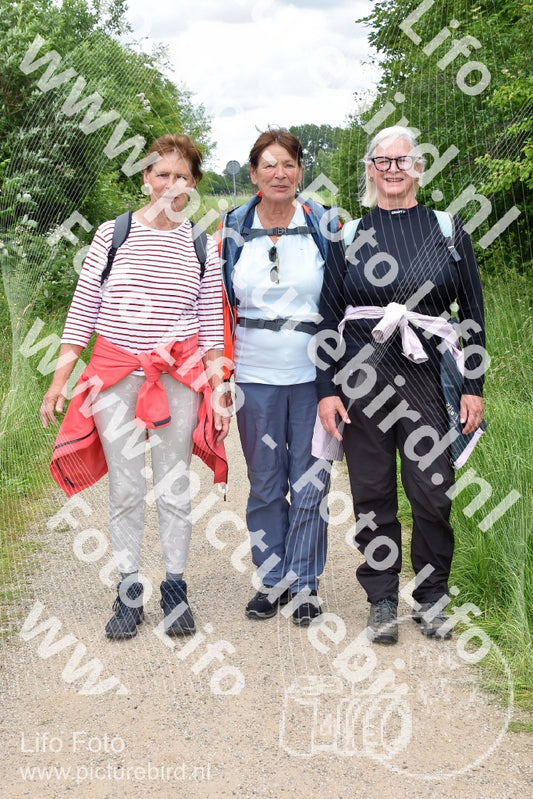 Evenement foto: Serie 317