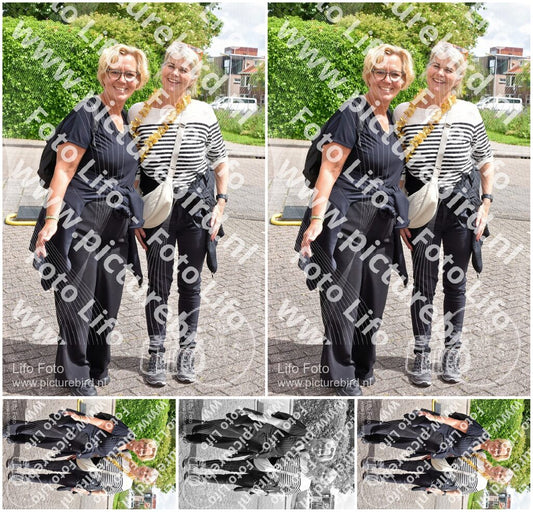 Evenement foto: Serie 319