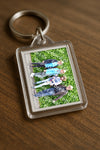 Evenement foto: Serie 321