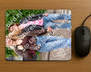 Evenement foto: Serie 321