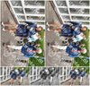 Evenement foto: Serie 322