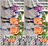 Evenement foto: Serie 324