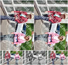 Evenement foto: Serie 325