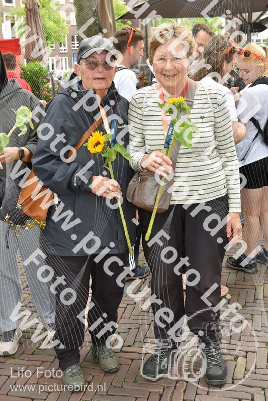 Evenement foto: Serie 259