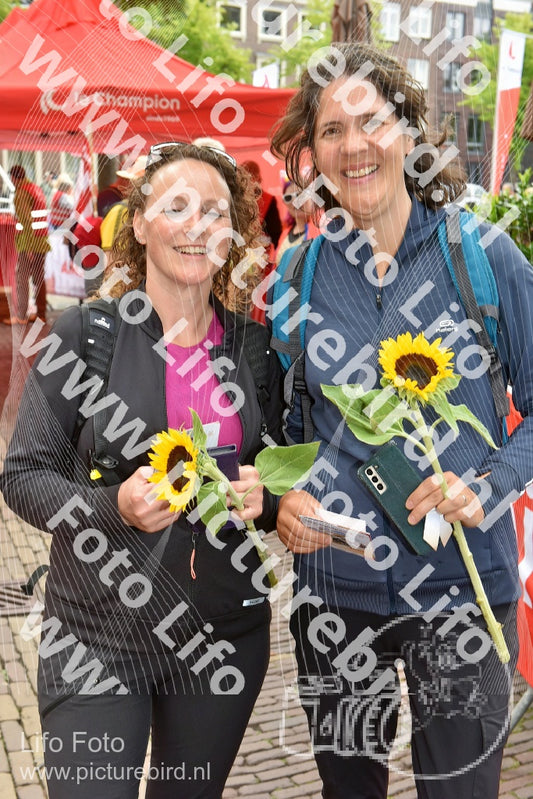 Evenement foto: Serie 259