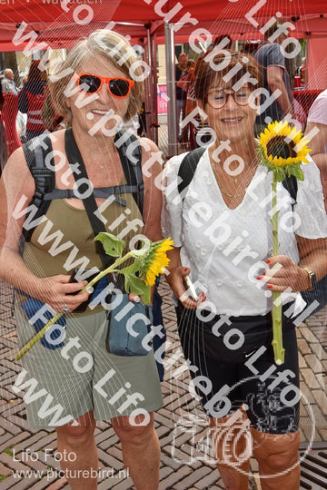 Evenement foto: Serie 259