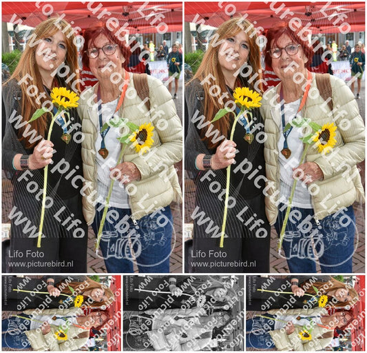 Evenement foto: Serie 259