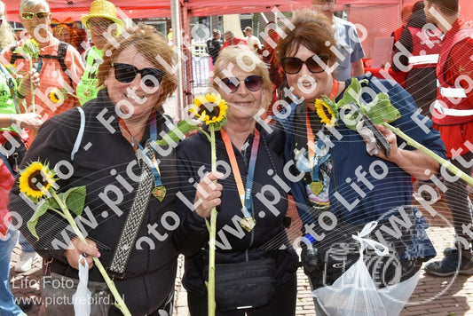 Evenement foto: Serie 260