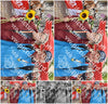 Evenement foto: Serie 260