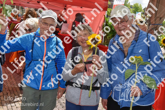 Evenement foto: Serie 260