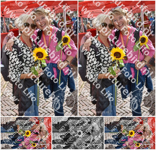 Evenement foto: Serie 260