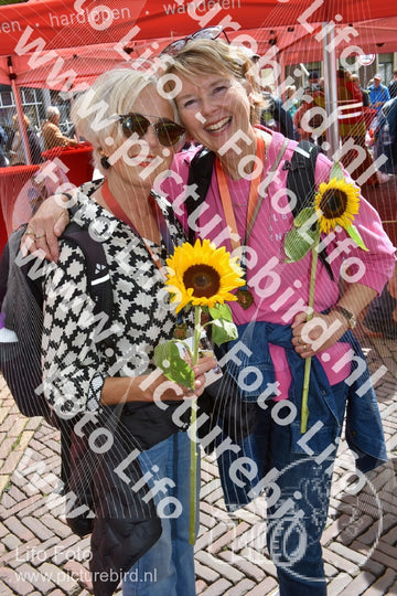 Evenement foto: Serie 260