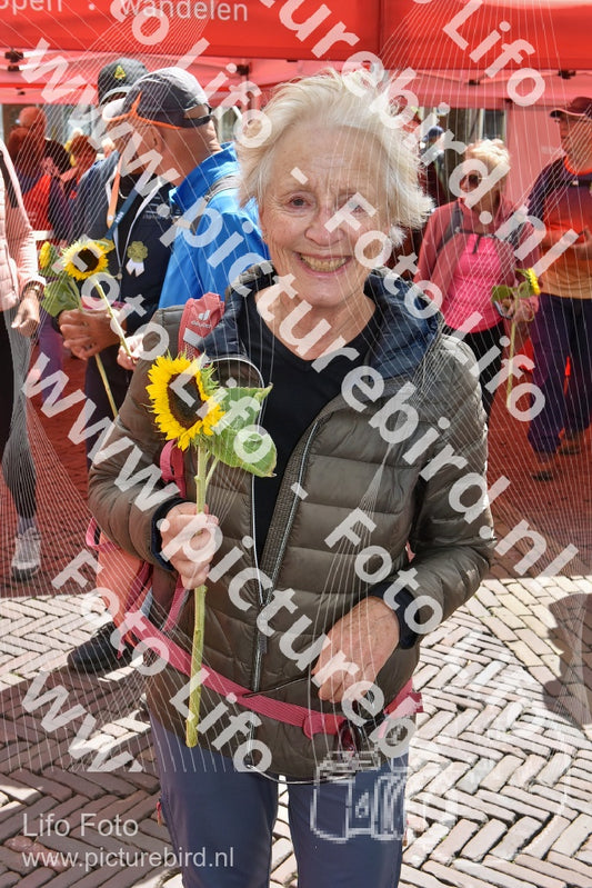 Evenement foto: Serie 260