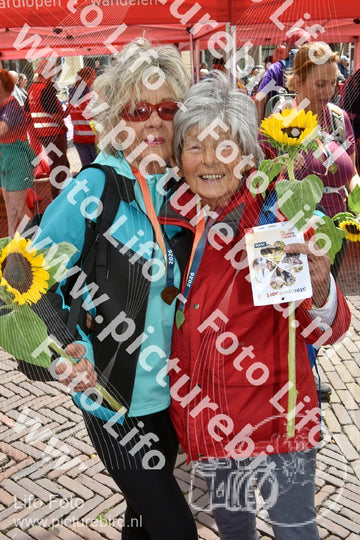 Evenement foto: Serie 260