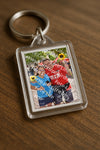 Evenement foto: Serie 260