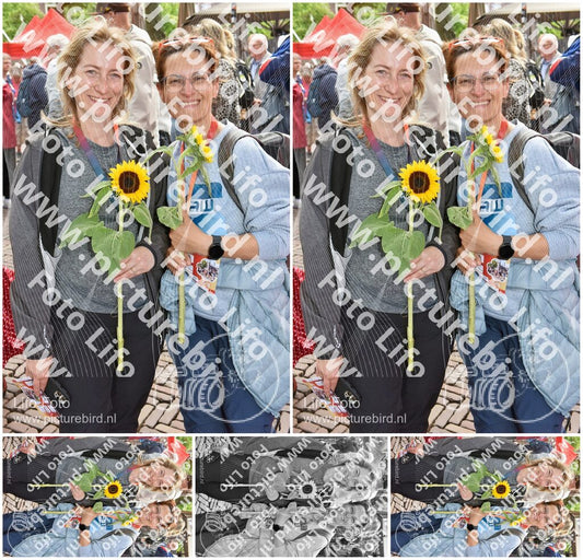 Evenement foto: Serie 260
