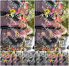 Evenement foto: Serie 260