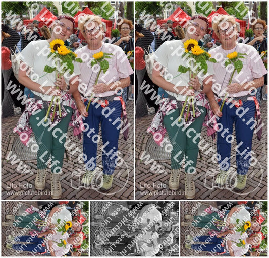 Evenement foto: Serie 260