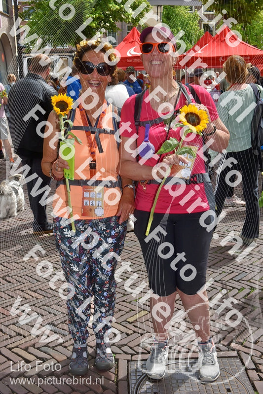 Evenement foto: Serie 261
