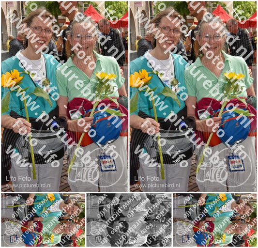 Evenement foto: Serie 261