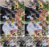 Evenement foto: Serie 261