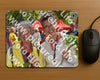 Evenement foto: Serie 261