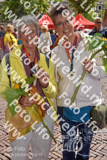 Evenement foto: Serie 261