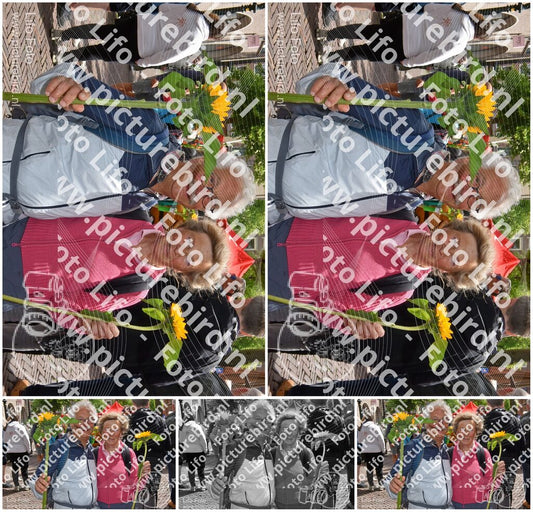 Evenement foto: Serie 261