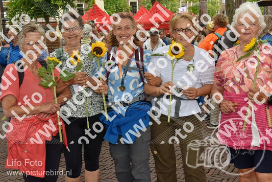 Evenement foto: Serie 261