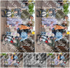 Evenement foto: Serie 277