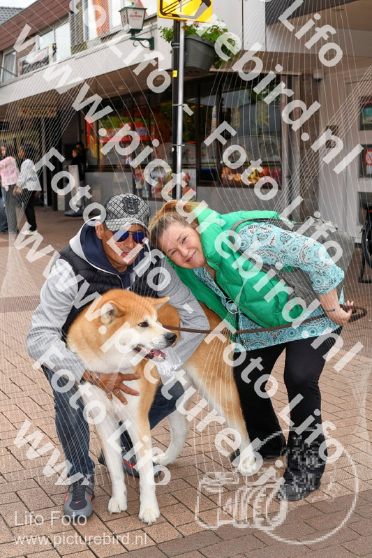 Evenement foto: Serie 278