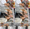 Evenement foto: Serie 278