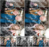 Evenement foto: Serie 279