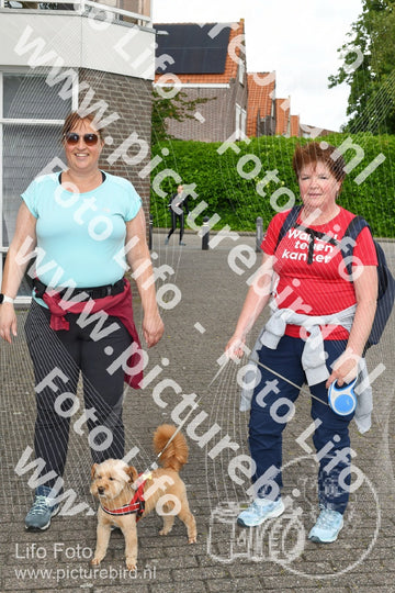 Evenement foto: Serie 281