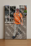 Evenement foto: Serie 282