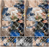 Evenement foto: Serie 286