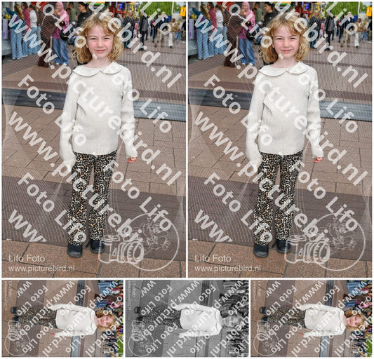 Evenement foto: Serie 288