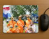 Evenement foto: Serie 356