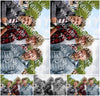 Evenement foto: Serie 356