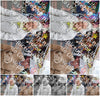 Evenement foto: Serie 424