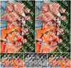 Evenement foto: Serie 425